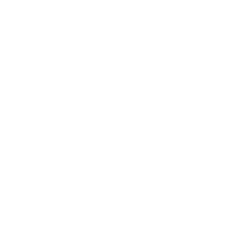 FALL – A short film by Mark Molnar
